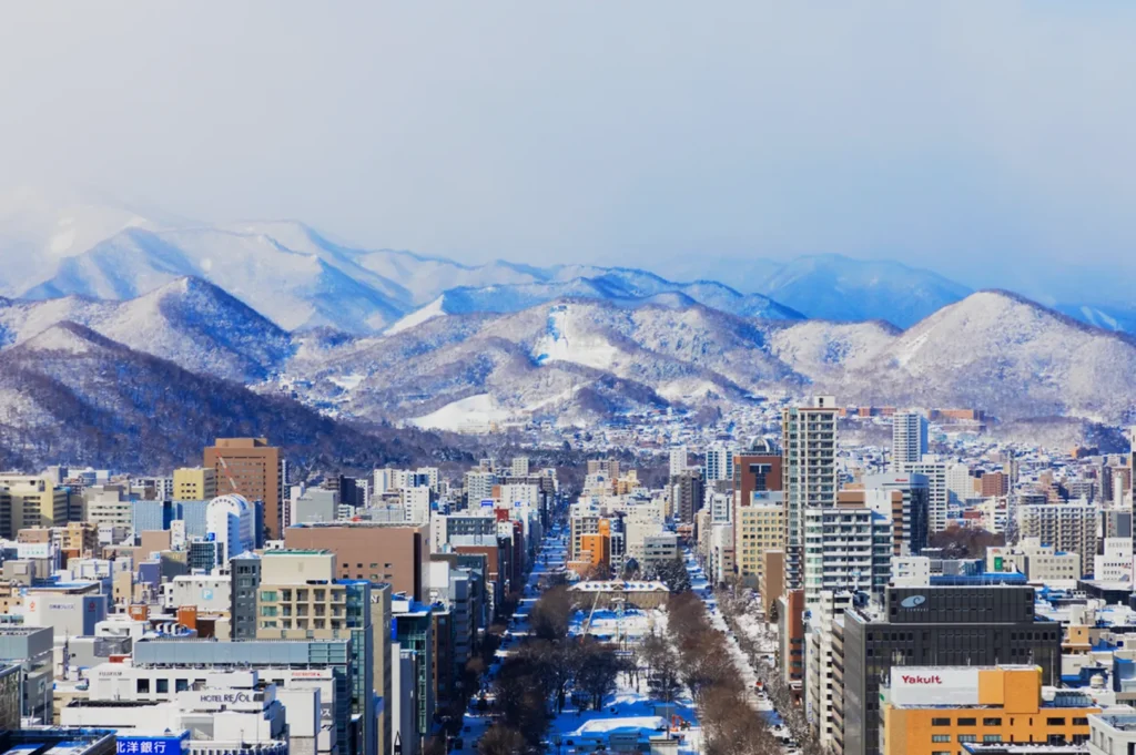 Aerial view of a snow-covered cityscape with modern buildings lined along streets, set against a backdrop of majestic, snow-dusted mountains under a bright sky.