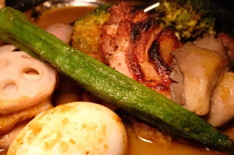 A plate of soup curry featuring slices of lotus root, a grilled piece of meat, broccoli, an okra pod, and a soft-boiled egg in a savory sauce.